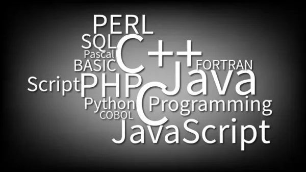 Programming Language